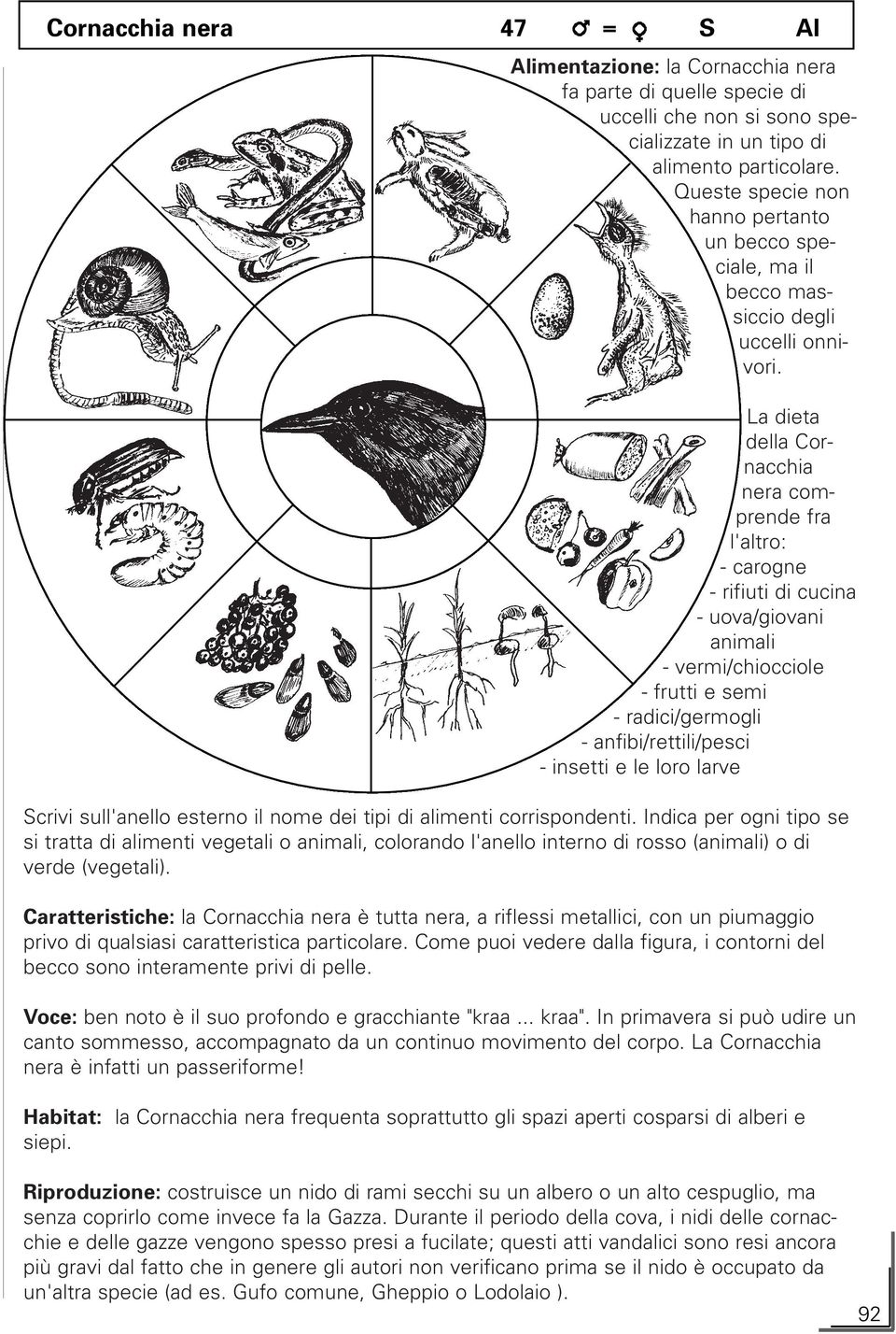 La dieta della Cornacchia nera comprende fra l'altro: - carogne - rifiuti di cucina - uova/giovani animali - vermi/chiocciole - frutti e semi - radici/germogli - anfibi/rettili/pesci - insetti e le