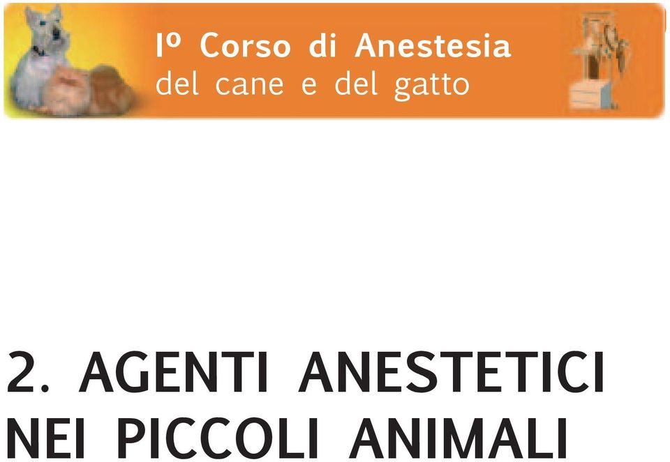 2. AGENTI ANESTETICI