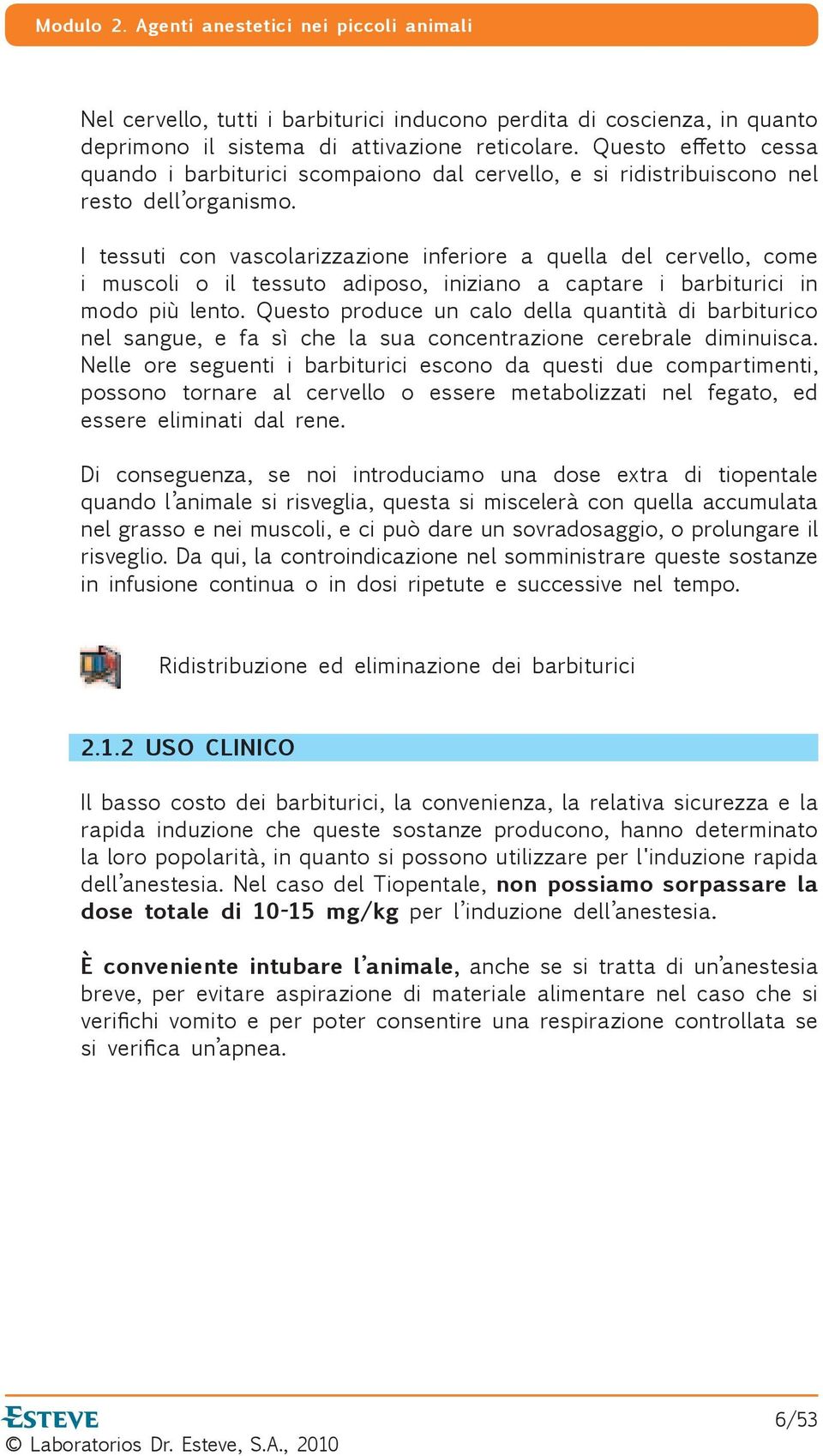 I tessuti con vascolarizzazione inferiore a quella del cervello, come i muscoli o il tessuto adiposo, iniziano a captare i barbiturici in modo più lento.