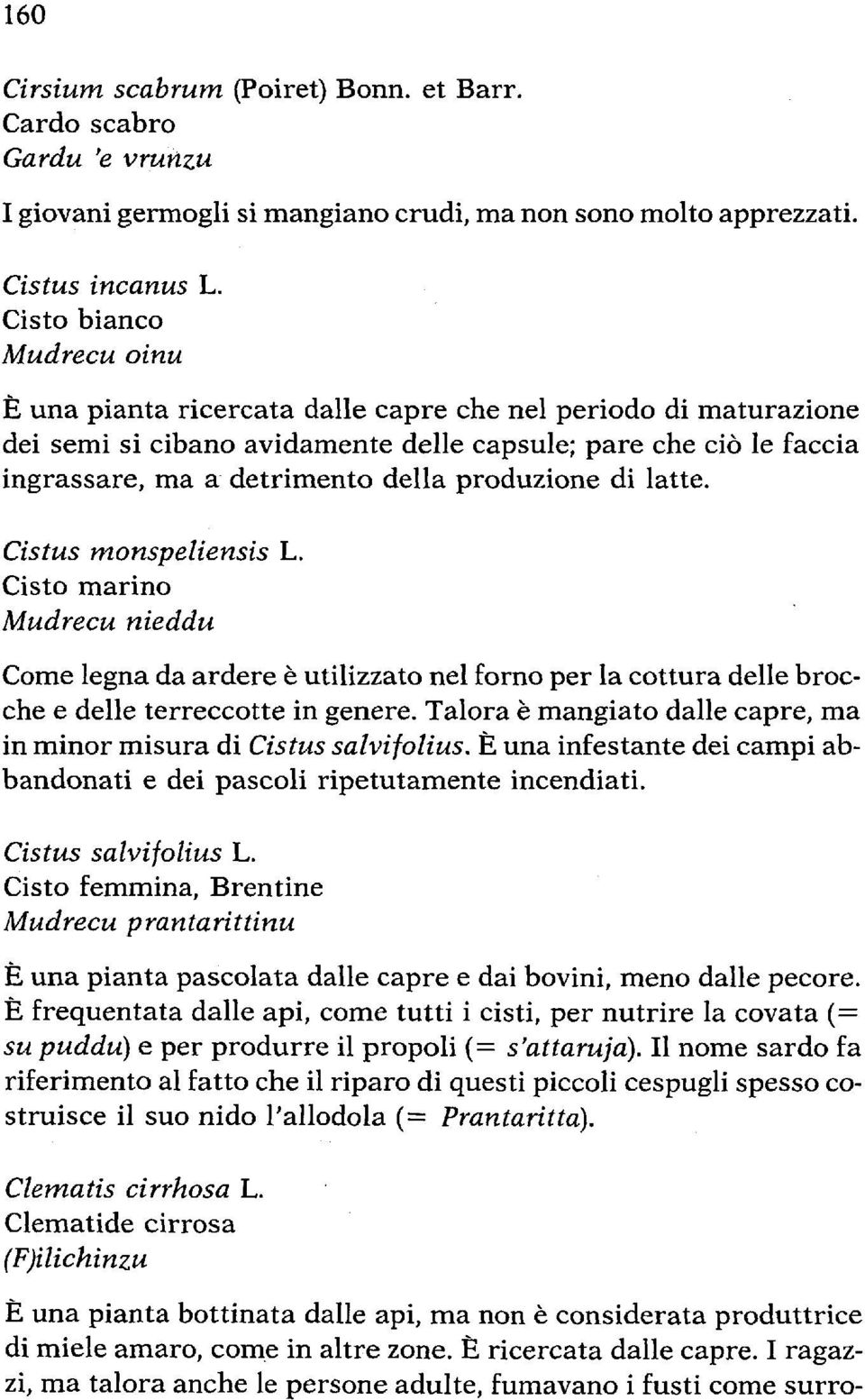 produzione di latte. Cistus monspeliensis L. Cisto marino Mudrecu nieddu Come legna da ardere è utilizzato nel forno per la cottura delle brocche e delle terreccotte in genere.