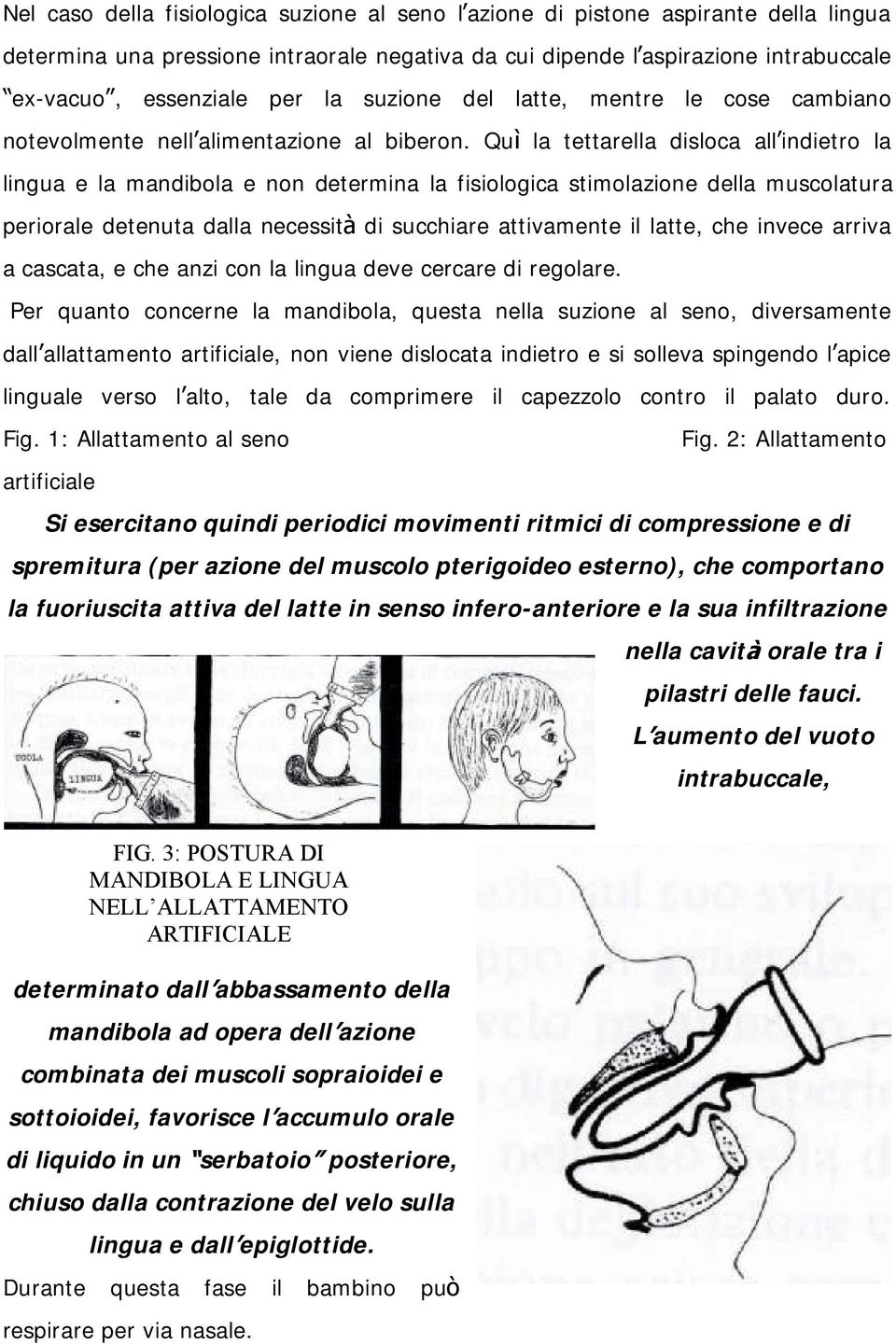 Quì la tettarella disloca all indietro la lingua e la mandibola e non determina la fisiologica stimolazione della muscolatura periorale detenuta dalla necessità di succhiare attivamente il latte, che