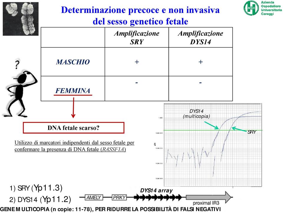 SRY Utilizzo di marcatori indipendenti dal sesso fetale per confermare la presenza di DNA fetale