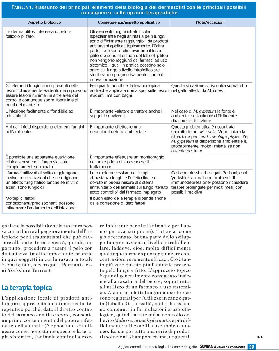 dermatofitosi interessano pelo e Gli elementi fungini intrafollicolari follicolo pilifero.