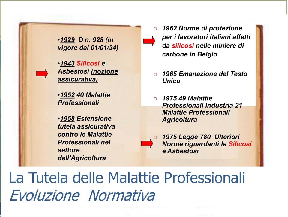 assicurativa contro le Malattie Professionali nel settore dell Agricoltura 1962 Norme di protezione per i lavoratori italiani affetti da