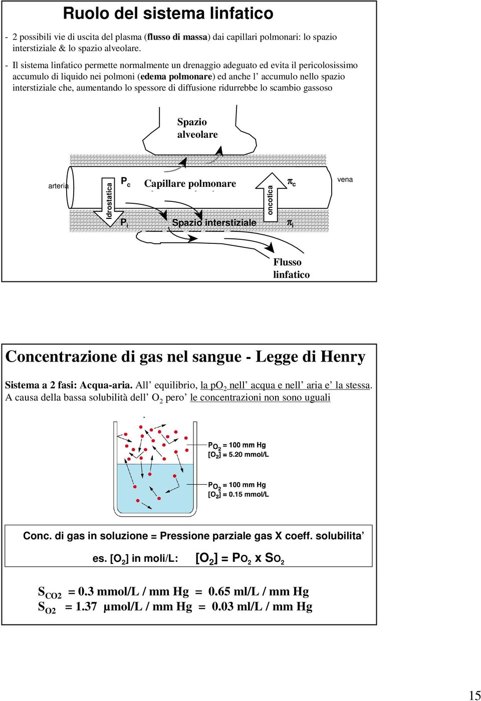 aumentando lo spessore di diffusione ridurrebbe lo scambio gassoso alveolar Spazio alveolare space arteria Idrostatica P c P i Capillare pulmonary polmonare cap.