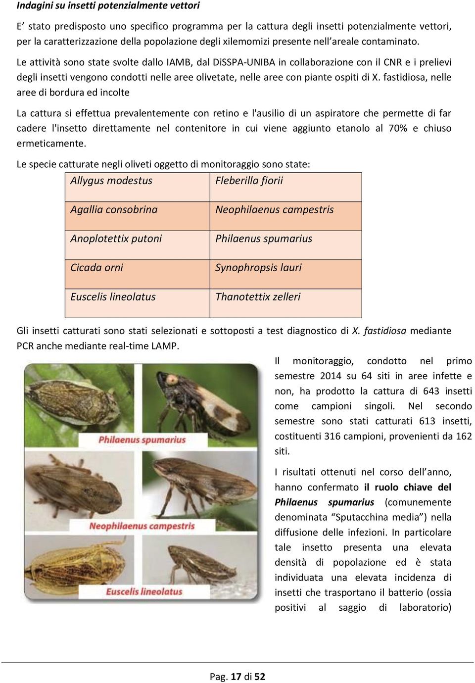 Le attività sono state svolte dallo IAMB, dal DiSSPA-UNIBA in collaborazione con il CNR e i prelievi degli insetti vengono condotti nelle aree olivetate, nelle aree con piante ospiti di X.