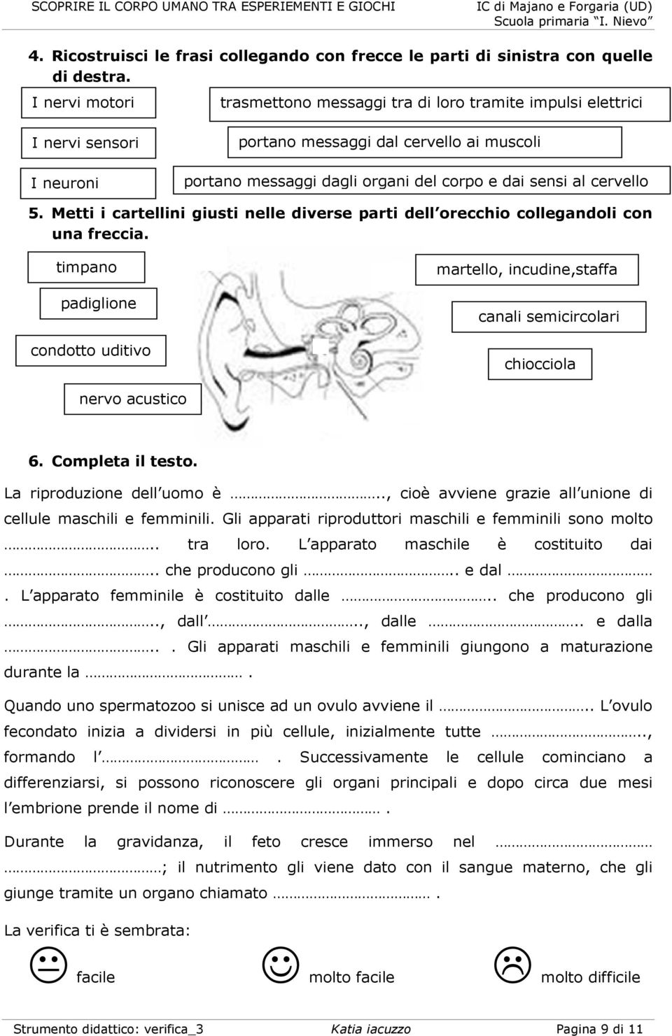 cervello 5. Metti i cartellini giusti nelle diverse parti dell orecchio collegandoli con una freccia.