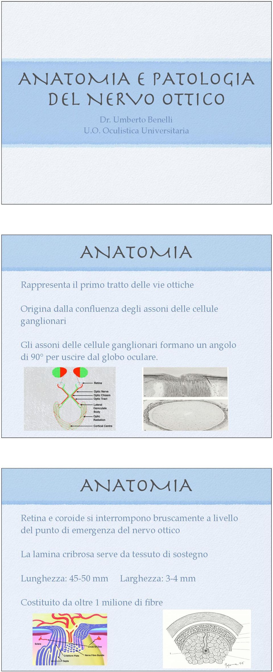 OGIA DEL NERVO OTTICO Dr. Umberto Benelli U.O. Oculistica Universitaria IA Rappresenta il primo tratto delle vie ottiche Origina