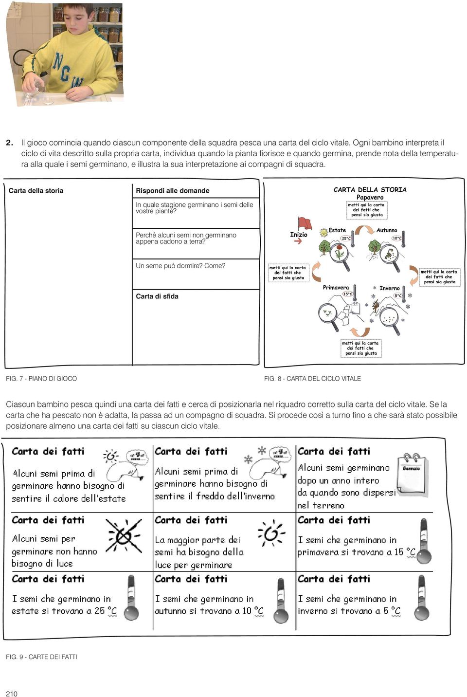 sua interpretazione ai compagni di squadra. Carta della storia Rispondi alle domande In quale stagione germinano i semi delle vostre piante? Perché alcuni semi non germinano appena cadono a terra?