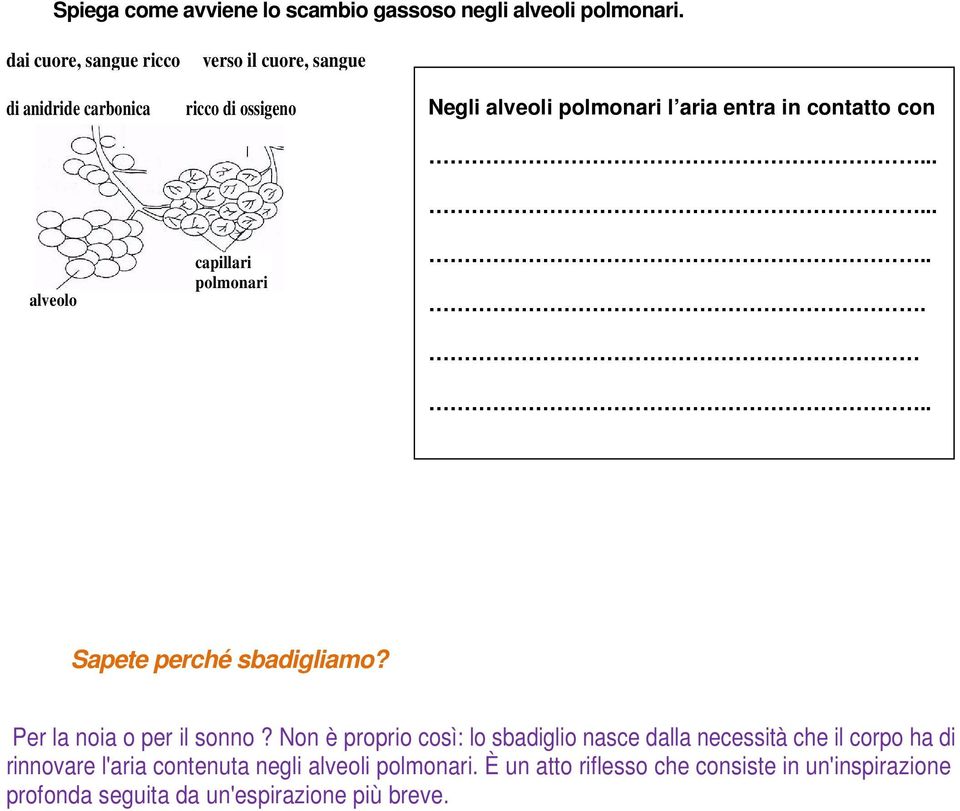 polmonari l aria entra in contatto con........... Sapete perché sbadigliamo? Per la noia o per il sonno?