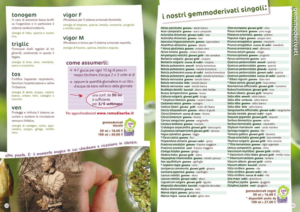 tos Fortifica l apparato respiratorio, favorisce l espettorazione e calma l irritazione. sinergia di abete, pioppo, carpino bianco, ontano nero, castagno e nocciolo.