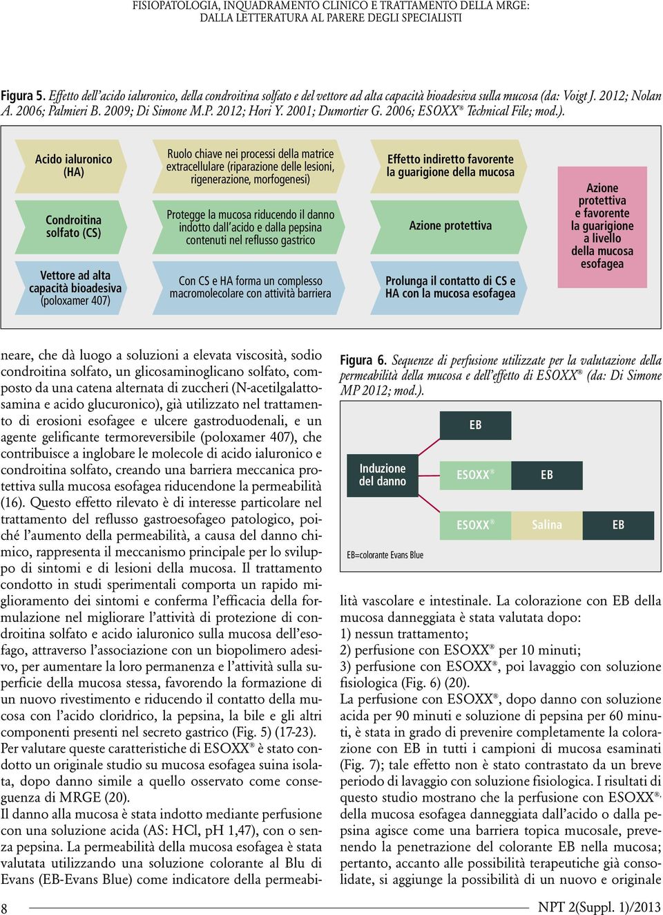 Acido ialuronico (HA) Condroitina solfato (CS) Vettore ad alta capacità bioadesiva (poloxamer 407) Ruolo chiave nei processi della matrice extracellulare (riparazione delle lesioni, rigenerazione,