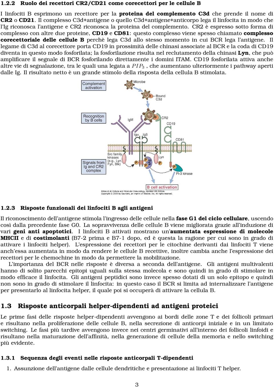 CR2 è espresso sotto forma di complesso con altre due proteine, CD19 e CD81: questo complesso viene spesso chiamato complesso corecettoriale delle cellule B perchè lega C3d allo stesso momento in cui