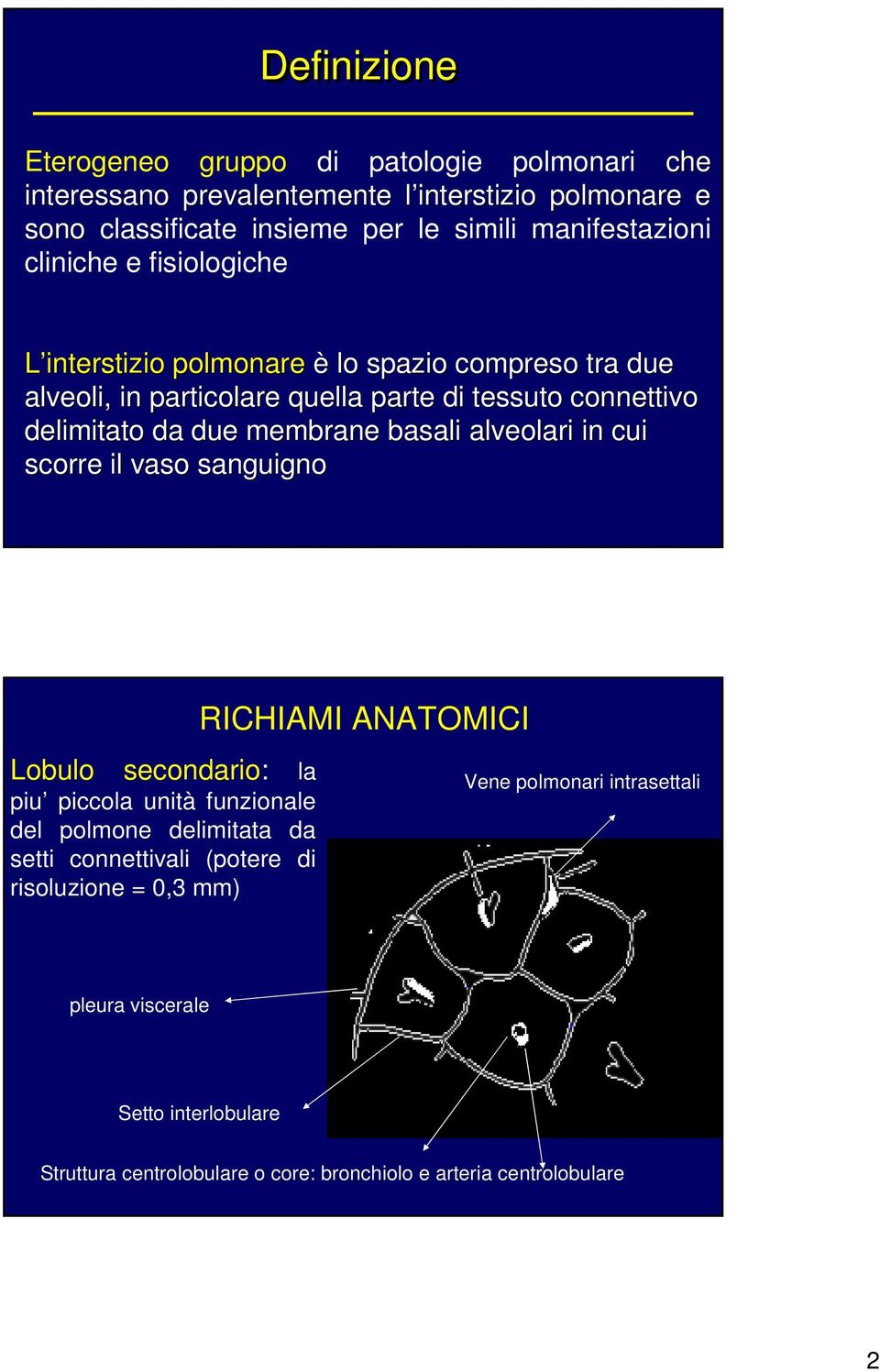 due membrane basali alveolari in cui scorre il vaso sanguigno RICHIAMI ANATOMICI Lobulo secondario: la piu piccola unità funzionale del polmone delimitata da setti