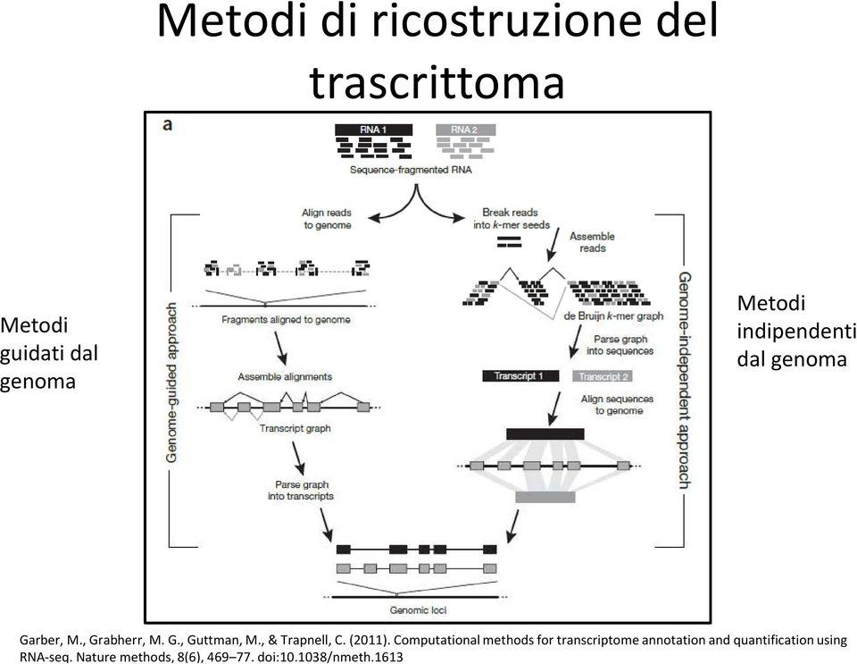 , & Trapnell, C. (2011).