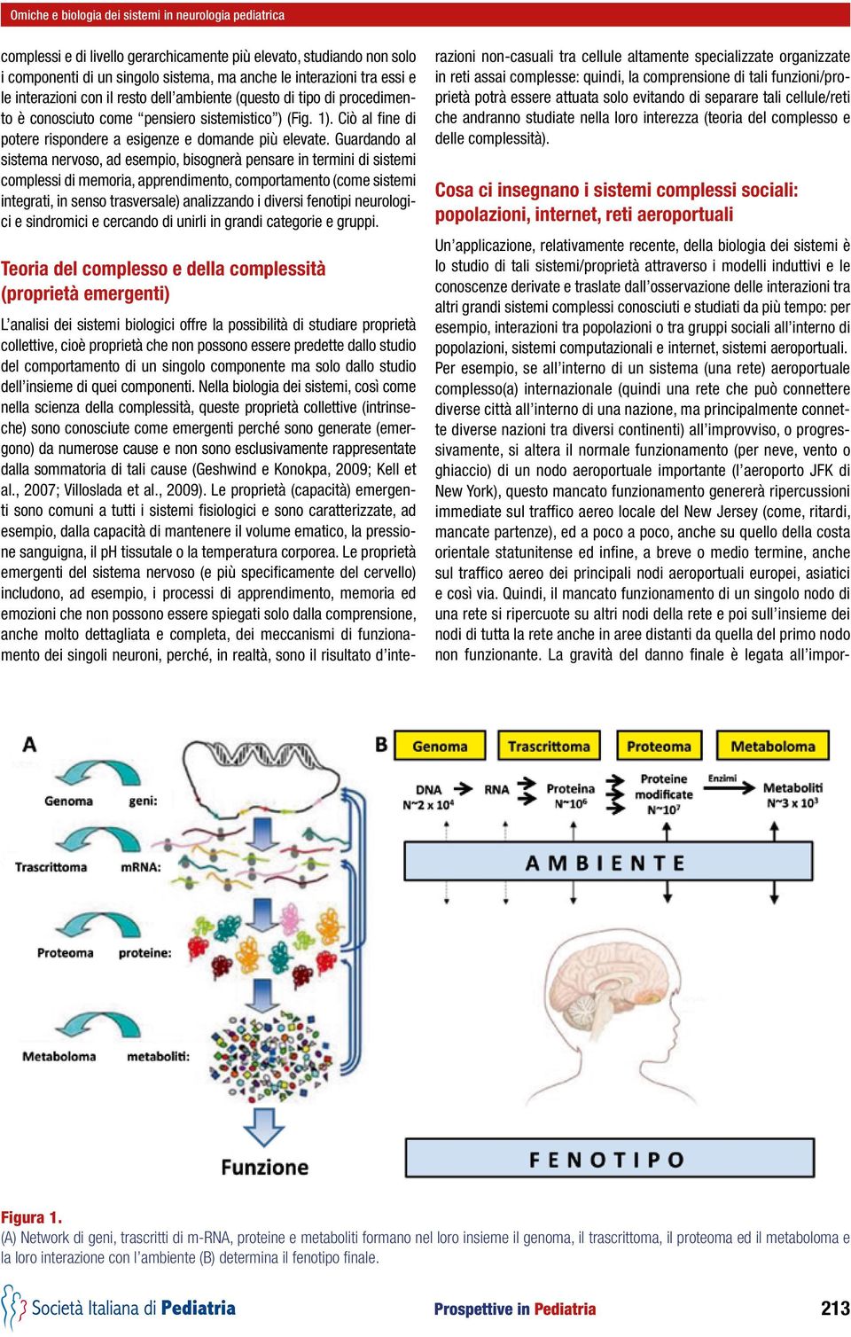 Guardando al sistema nervoso, ad esempio, bisognerà pensare in termini di sistemi complessi di memoria, apprendimento, comportamento (come sistemi integrati, in senso trasversale) analizzando i