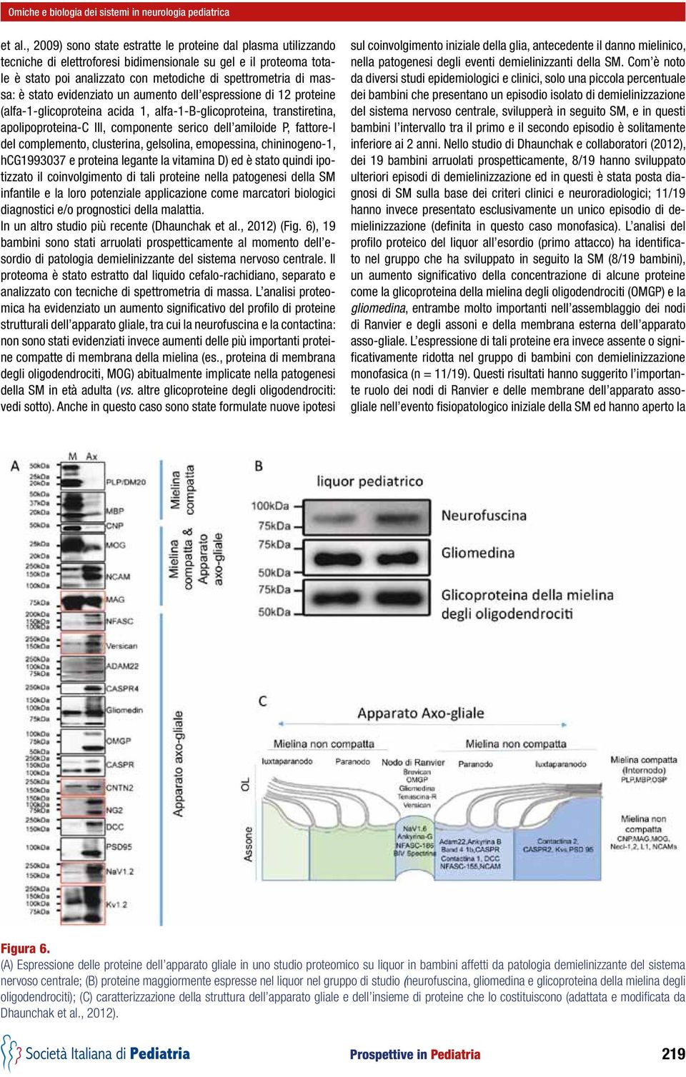 stato evidenziato un aumento dell espressione di 12 proteine (alfa-1-glicoproteina acida 1, alfa-1-b-glicoproteina, transtiretina, apolipoproteina-c III, componente serico dell amiloide P, fattore-i