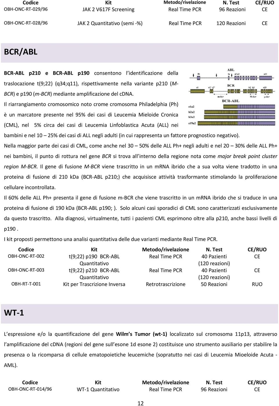 consentono l identificazione della traslocazione t(9;22) (q34;q11), rispettivamente nella variante p210 (M BCR) e p190 (m BCR) mediante amplificazione del cdna.