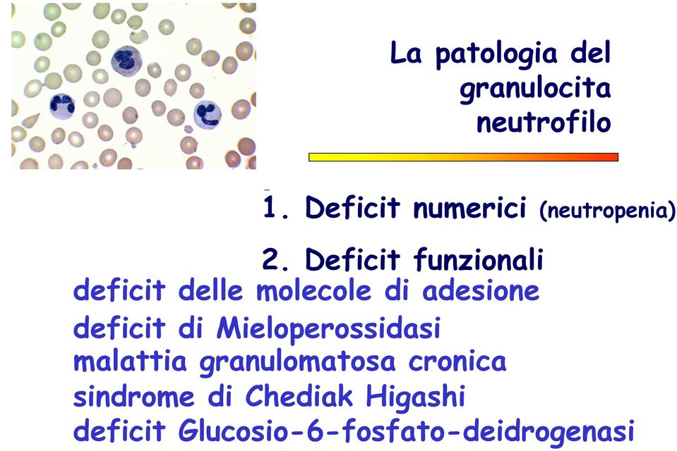 Deficit funzionali deficit delle molecole di adesione deficit di