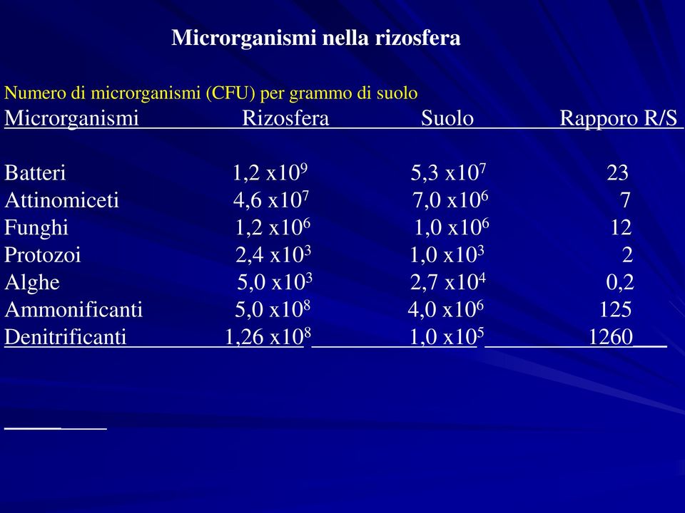 x10 7 7,0 x10 6 7 Funghi 1,2 x10 6 1,0 x10 6 12 Protozoi 2,4 x10 3 1,0 x10 3 2 Alghe 5,0