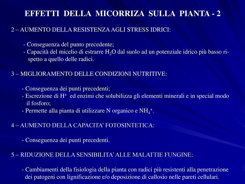 3 MIGLIORAMENTO DELLE CONDIZIONI NUTRITIVE: - Conseguenza dei punti precedenti; - Escrezione di H + ed enzimi che solubilizza gli elementi minerali e in special modo il fosforo; - Permette alla