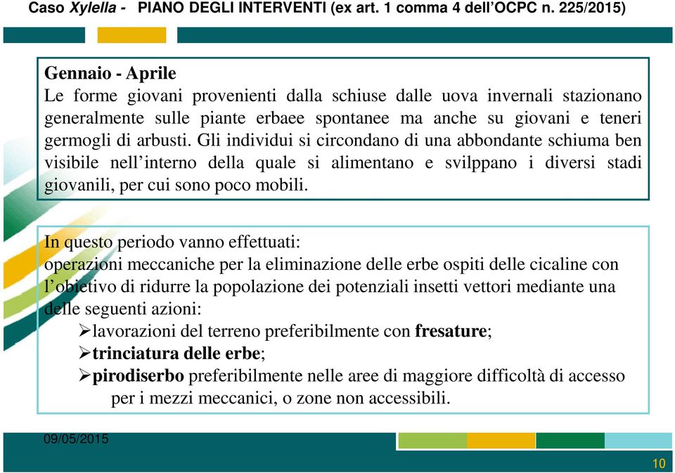 Gli individui si circondano di una abbondante schiuma ben visibile nell interno della quale si alimentano e svilppano i diversi stadi giovanili, per cui sono poco mobili.