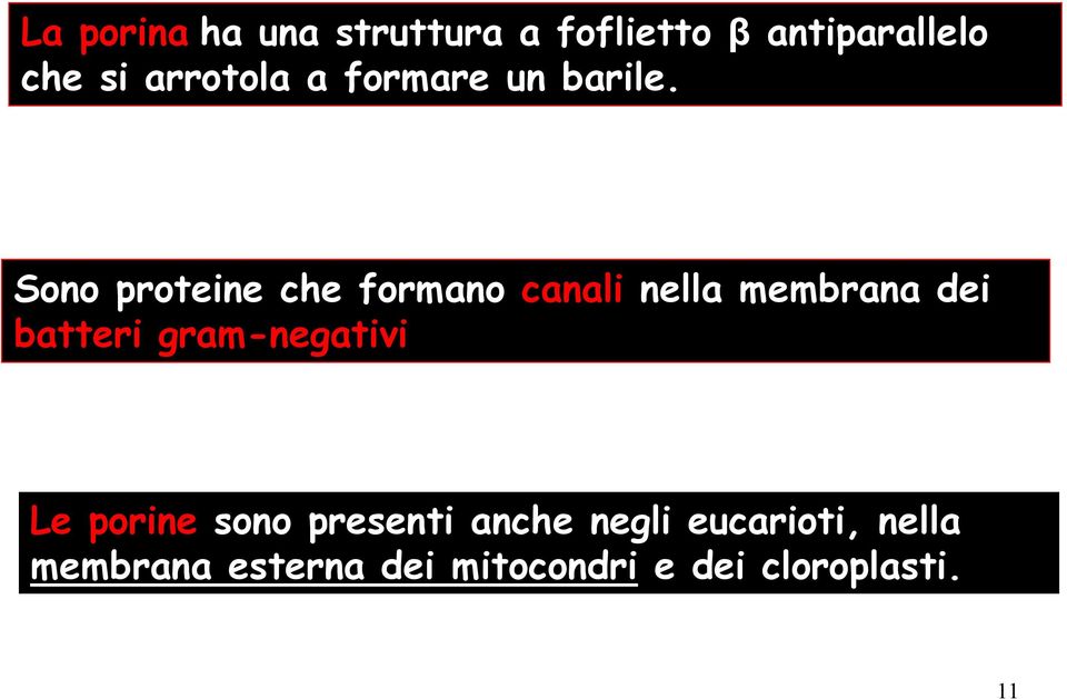 Sono proteine che formano canali nella membrana dei batteri