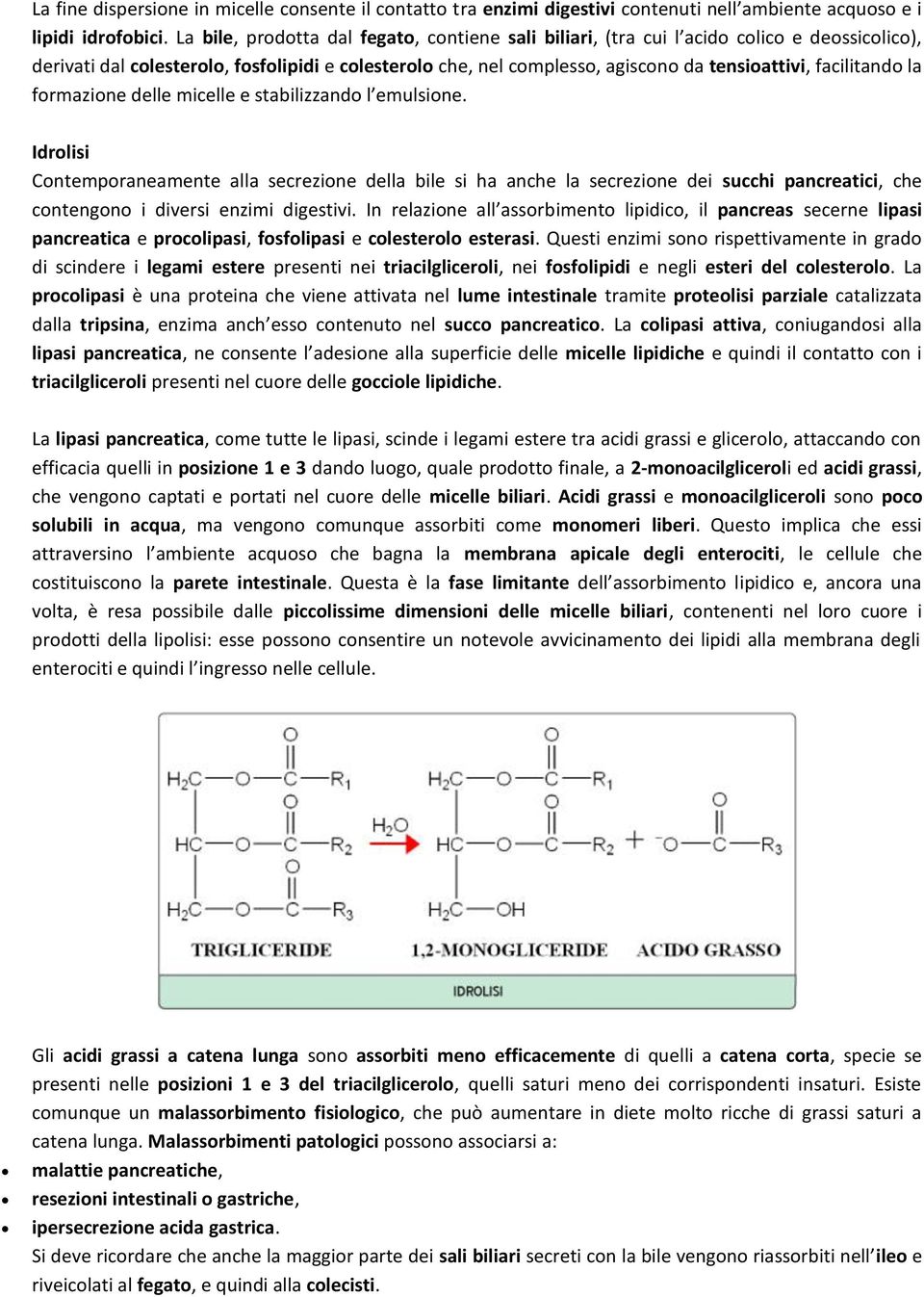 facilitando la formazione delle micelle e stabilizzando l emulsione.