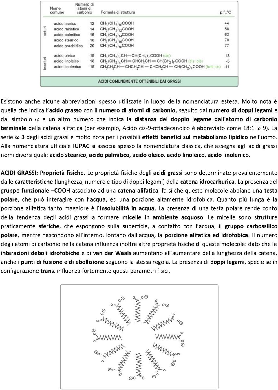 dall'atomo di carbonio terminale della catena alifatica (per esempio, Acido cis-9-ottadecanoico è abbreviato come 18:1 ω 9).