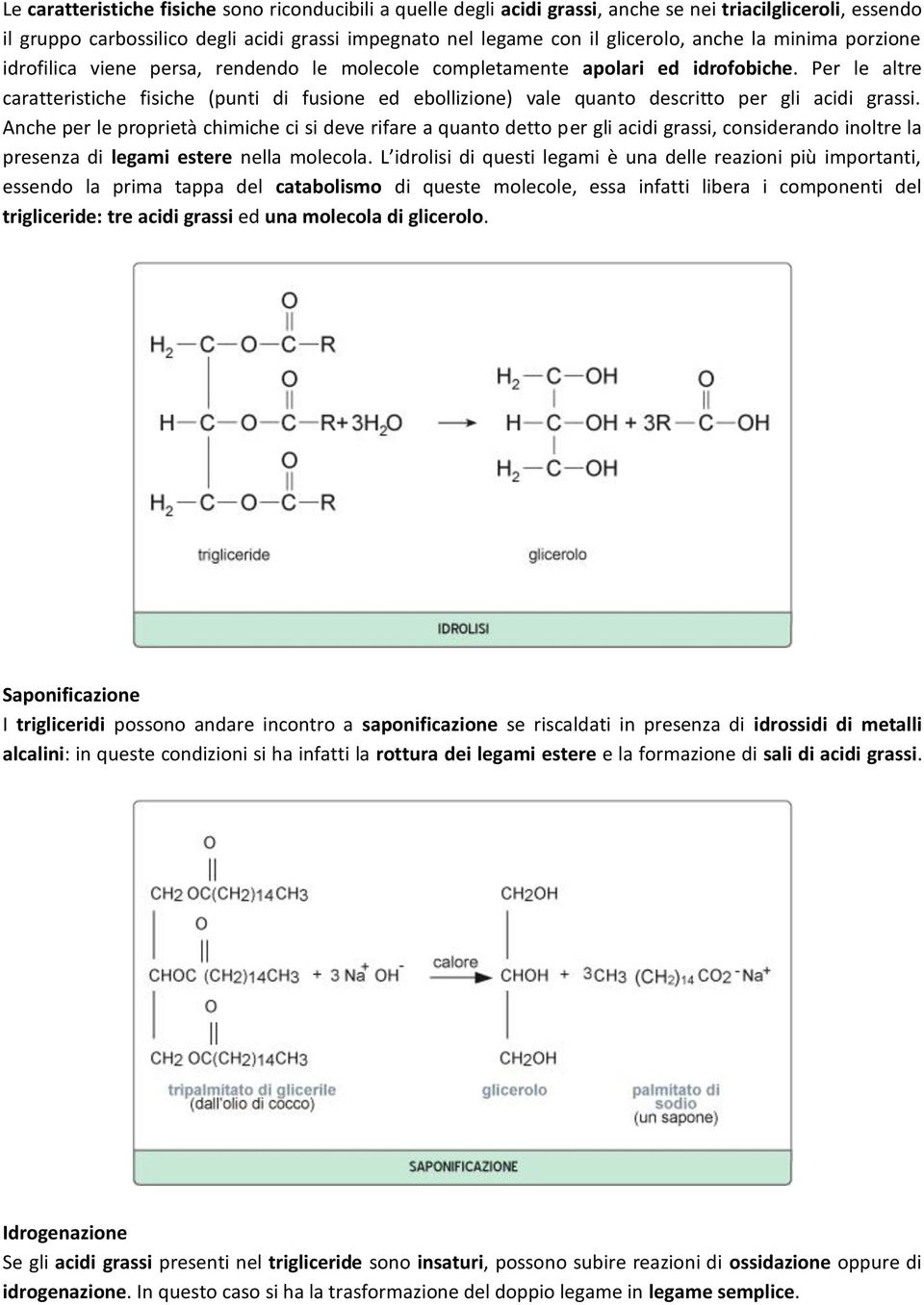 Per le altre caratteristiche fisiche (punti di fusione ed ebollizione) vale quanto descritto per gli acidi grassi.