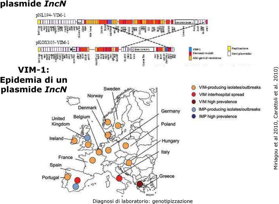 IncN Miriagou et al