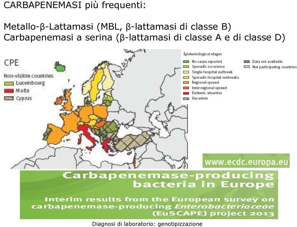 β-lattamasi di classe B)