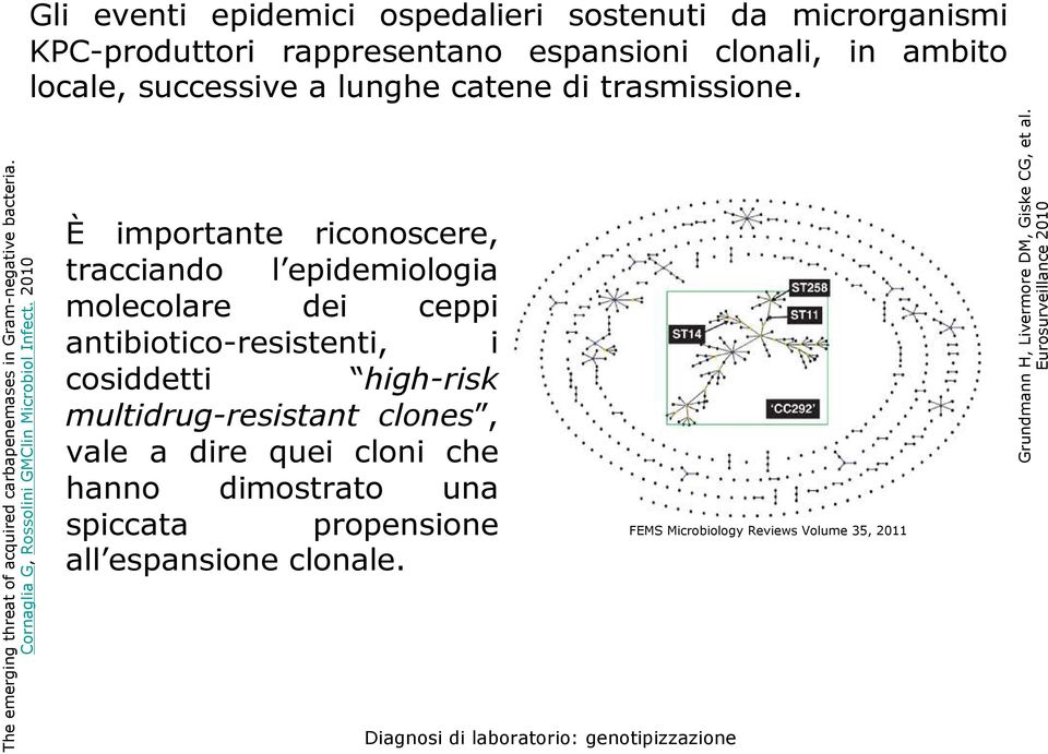 2010 È importante riconoscere, tracciando l epidemiologia molecolare dei ceppi antibiotico-resistenti, i cosiddetti high-risk multidrug-resistant clones, vale a