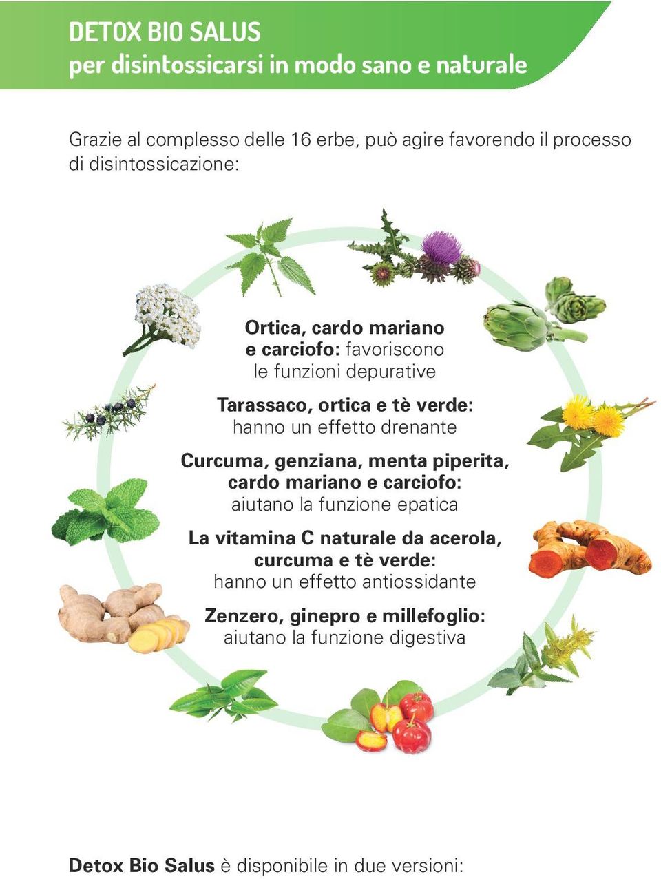 drenante Curcuma, genziana, menta piperita, cardo mariano e carciofo: aiutano la funzione epatica La vitamina C naturale da acerola,