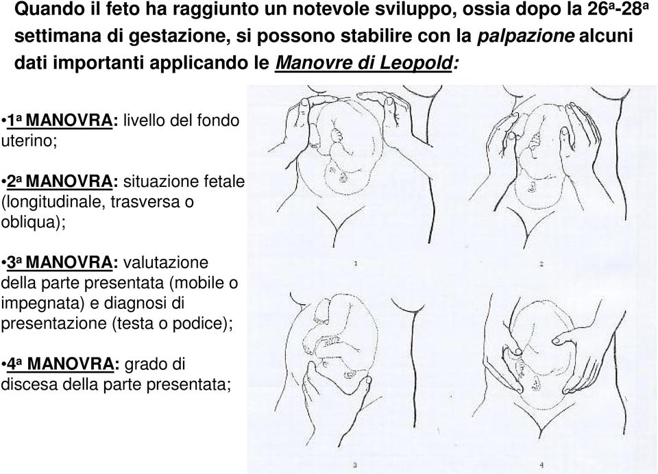 uterino; 2 a MANOVRA: situazione fetale (longitudinale, trasversa o obliqua); 3 a MANOVRA: valutazione della parte