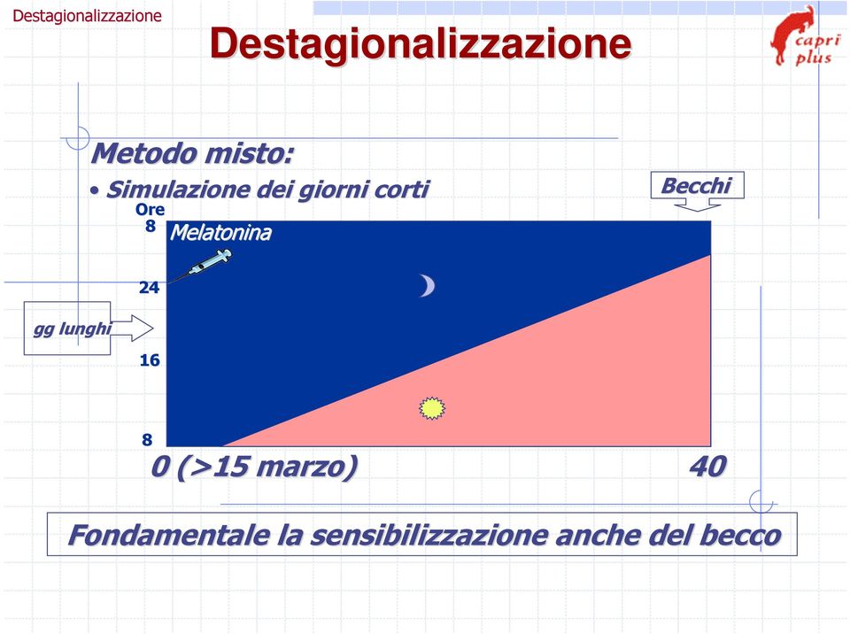 Melatonina Becchi 24 gg lunghi 16 8 0 (>15