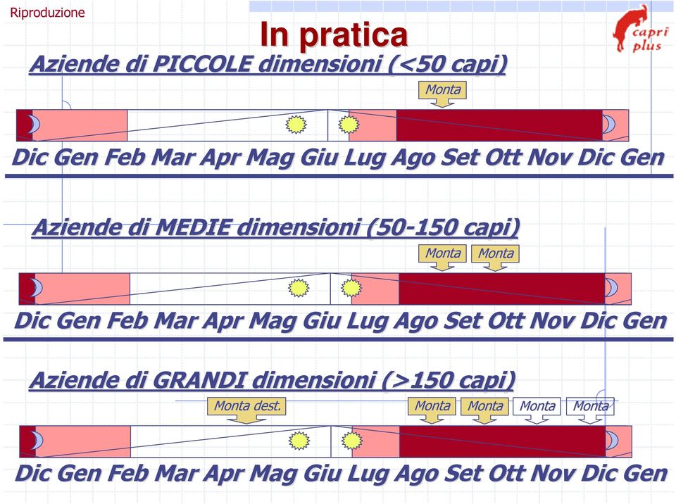 Dic Gen Feb Mar Apr Mag Giu Lug Ago Set Ott Nov Dic Gen Aziende di GRANDI dimensioni (>150