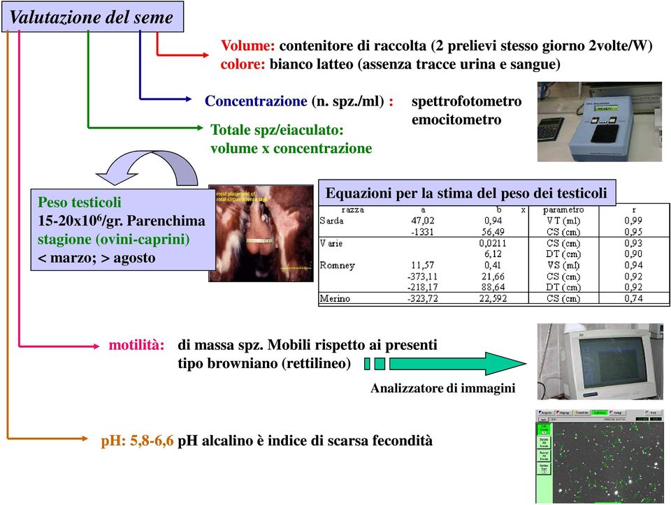 /ml) : Totale spz/eiaculato: volume x concentrazione spettrofotometro emocitometro Peso testicoli 15-20x10 6 /gr.