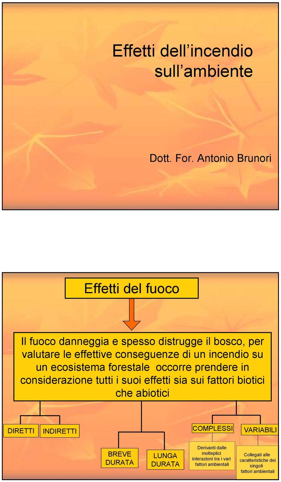 un incendio su un ecosistema forestale occorre prendere in considerazione tutti i suoi effetti sia sui fattori biotici che