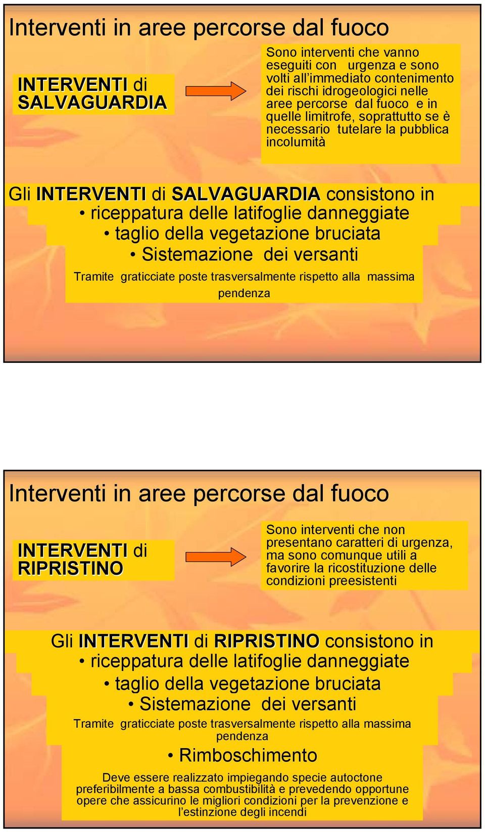 vegetazione bruciata Sistemazione dei versanti Tramite graticciate poste trasversalmente rispetto alla massima pendenza Interventi in aree percorse dal fuoco INTERVENTI di RIPRISTINO Sono interventi