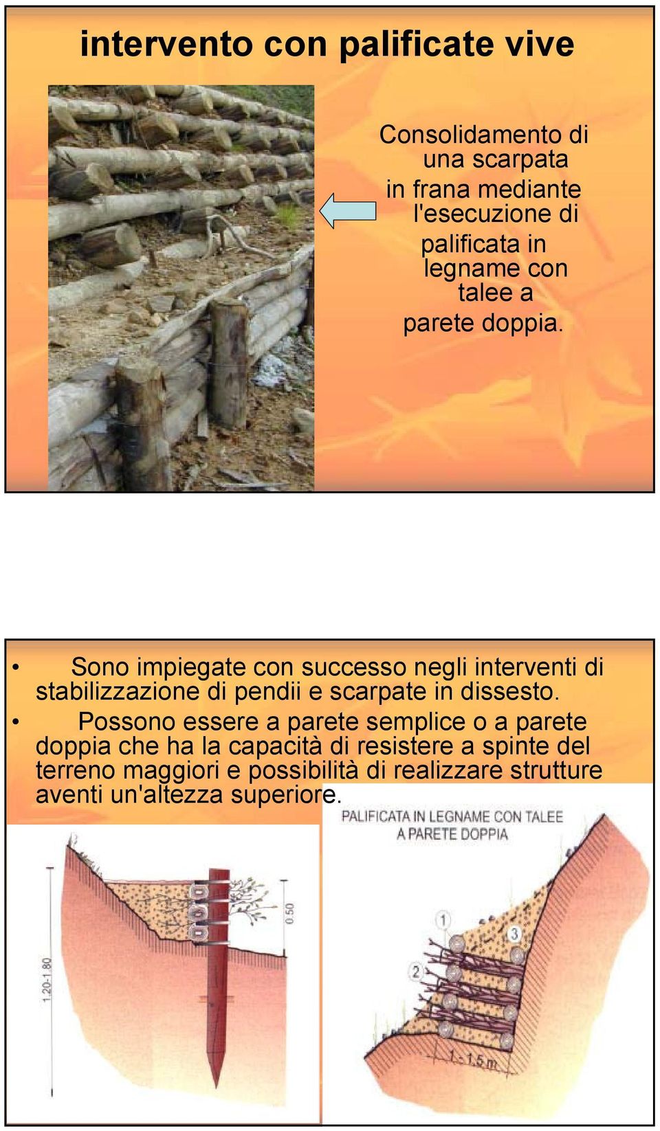 Sono impiegate con successo negli interventi di stabilizzazione di pendii e scarpate in dissesto.