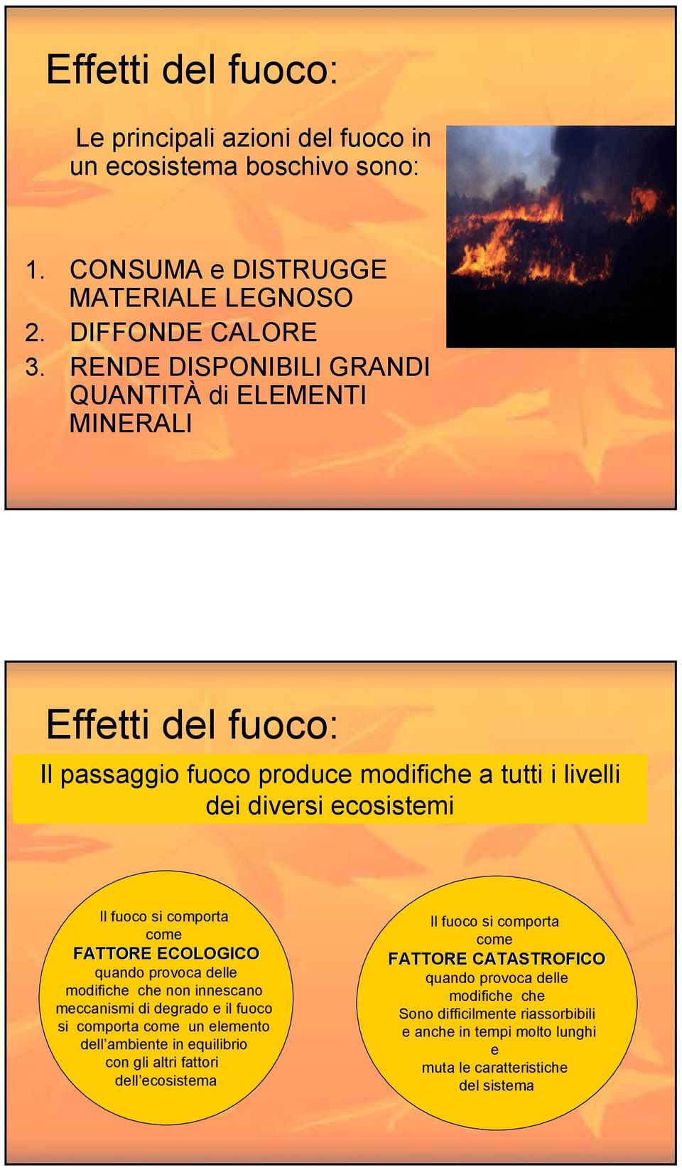 come FATTORE ECOLOGICO quando provoca delle modifiche che non innescano meccanismi di degrado e il fuoco si comporta come un elemento dell ambiente in equilibrio con gli