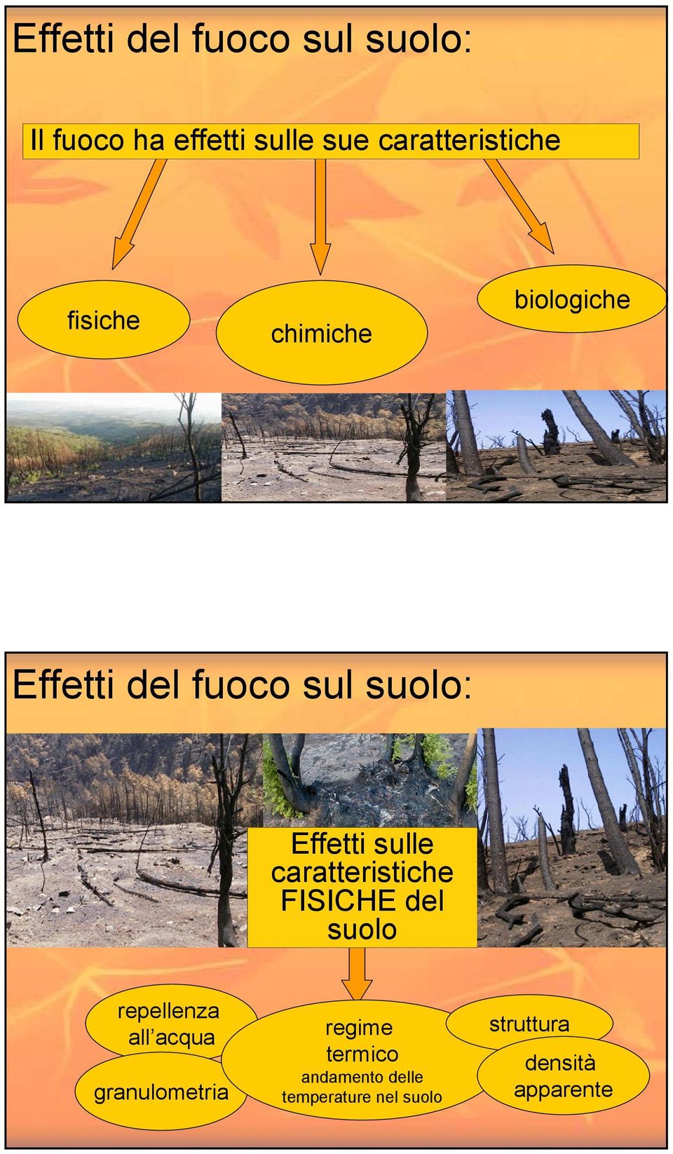 Effetti sulle caratteristiche FISICHE del suolo repellenza all acqua