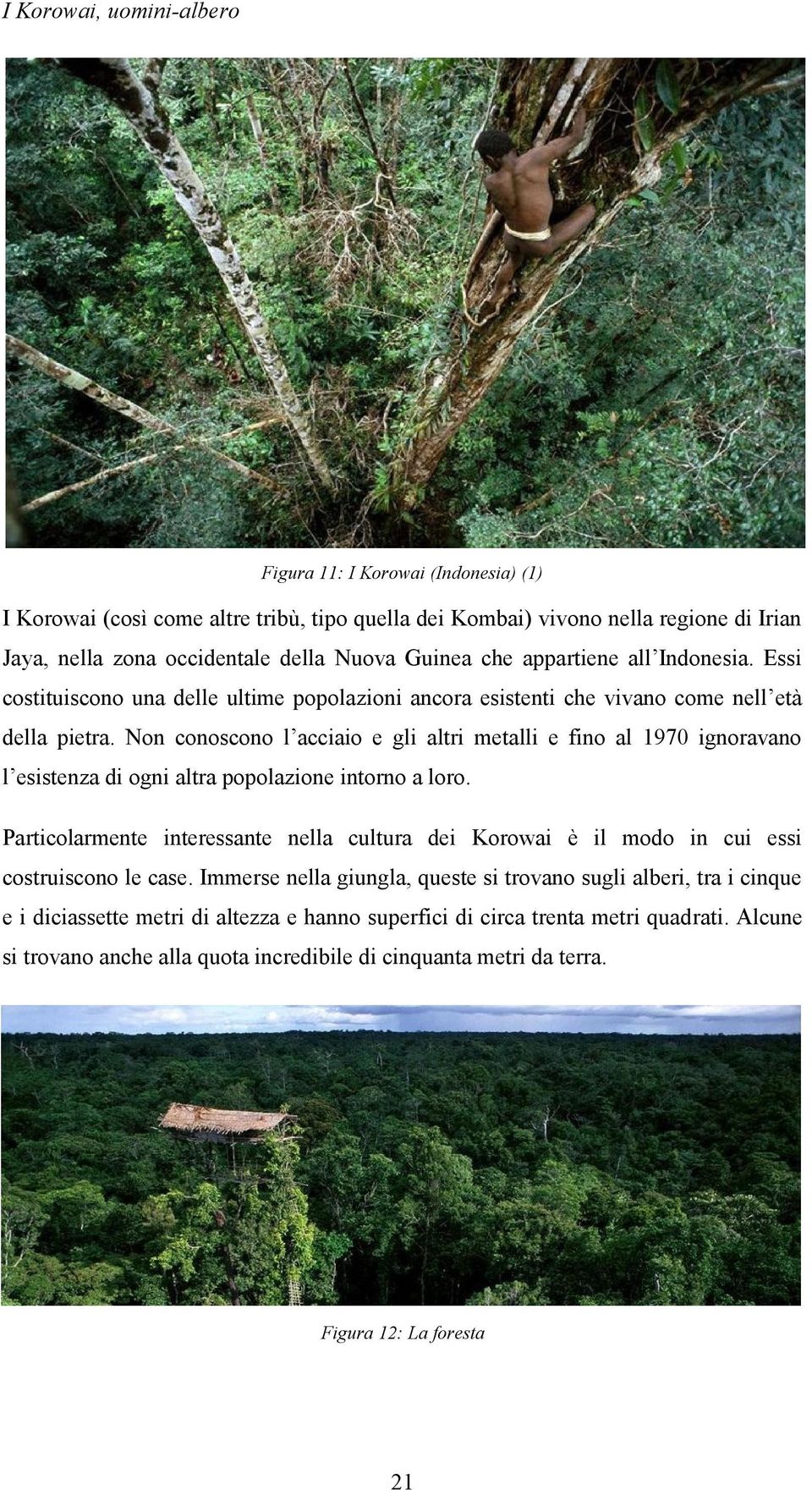 Non conoscono l acciaio e gli altri metalli e fino al 1970 ignoravano l esistenza di ogni altra popolazione intorno a loro.