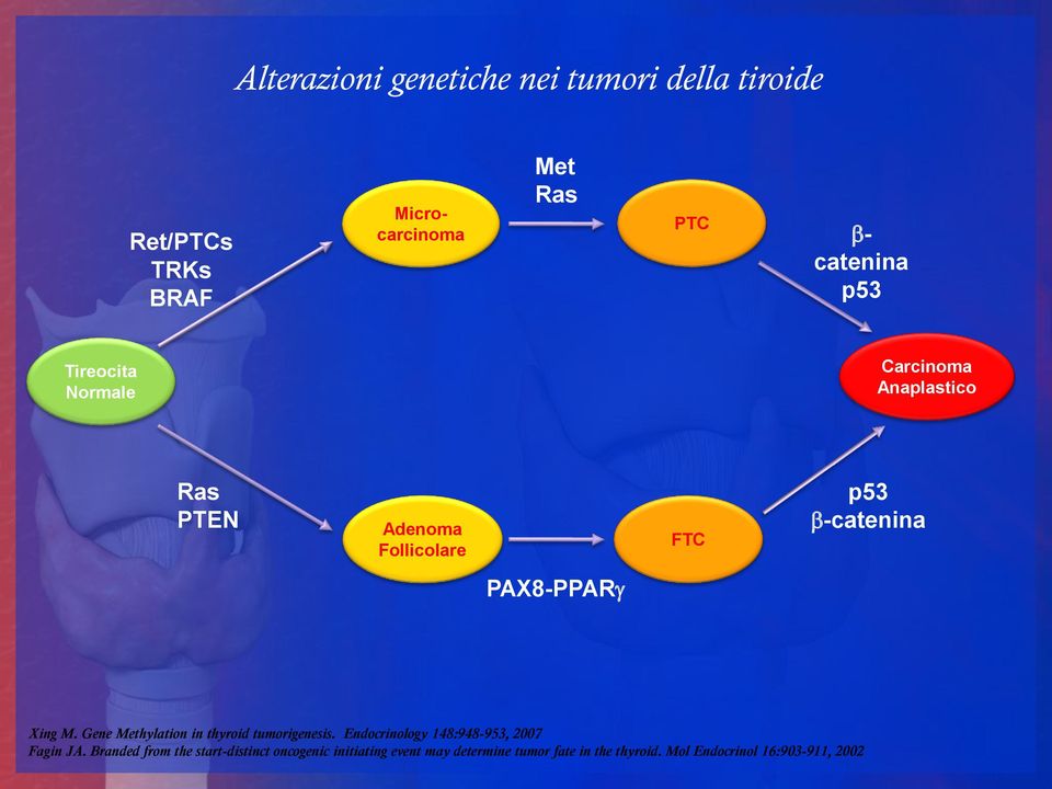 M. Gene Methylation in thyroid tumorigenesis. Endocrinology 148:948-953, 2007 Fagin JA.