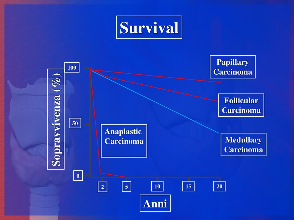 Carcinoma Follicular Carcinoma