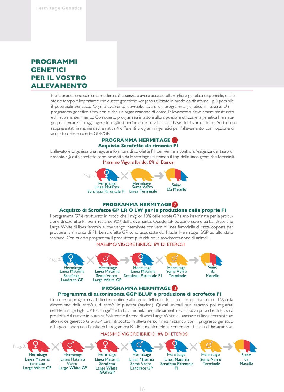 Un programma genetico altro non è che un organizzazione di come l allevamento deve essere strutturato ed il suo mantenimento.