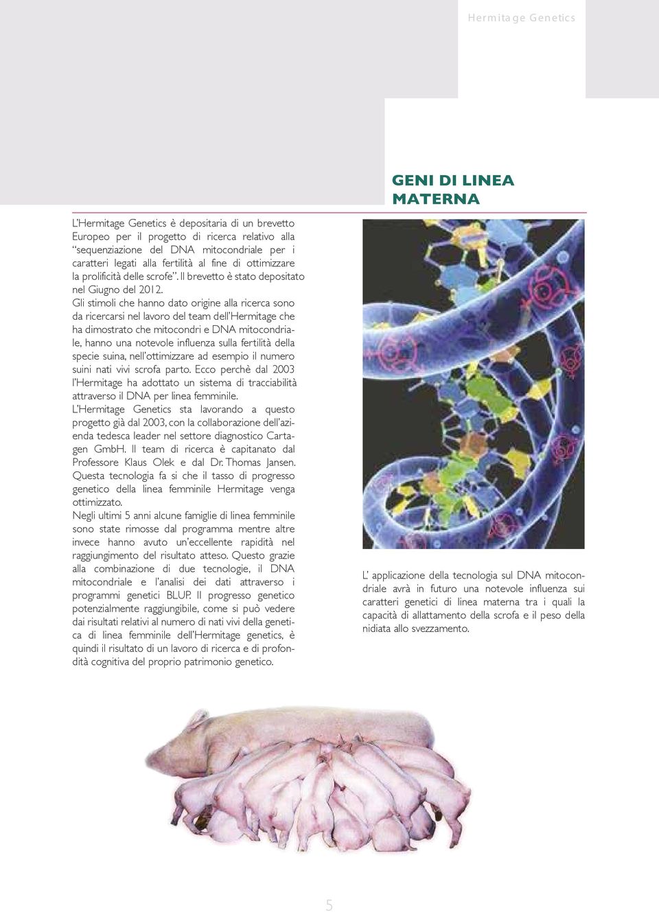 Gli stimoli che hanno dato origine alla ricerca sono da ricercarsi nel lavoro del team dell Hermitage che ha dimostrato che mitocondri e DNA mitocondriale, hanno una notevole influenza sulla