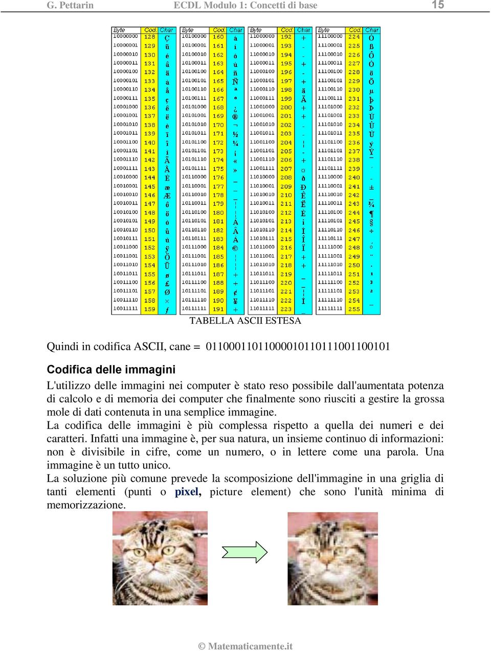 La codifica delle immagini è più complessa rispetto a quella dei numeri e dei caratteri.