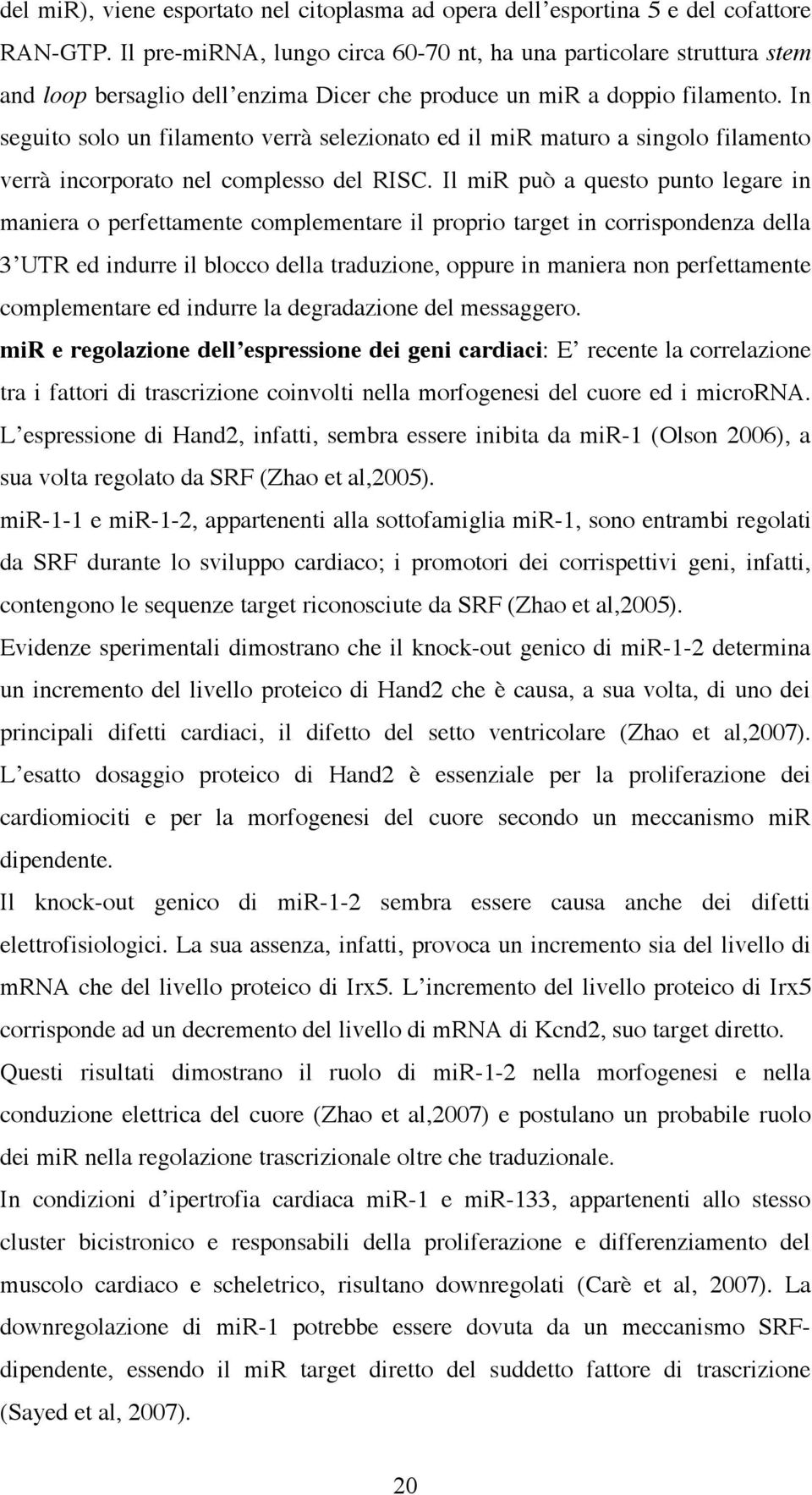 In seguito solo un filamento verrà selezionato ed il mir maturo a singolo filamento verrà incorporato nel complesso del RISC.